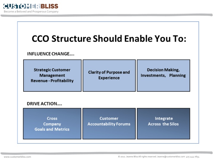 Structuring the CCO Role and Team Customer Bliss