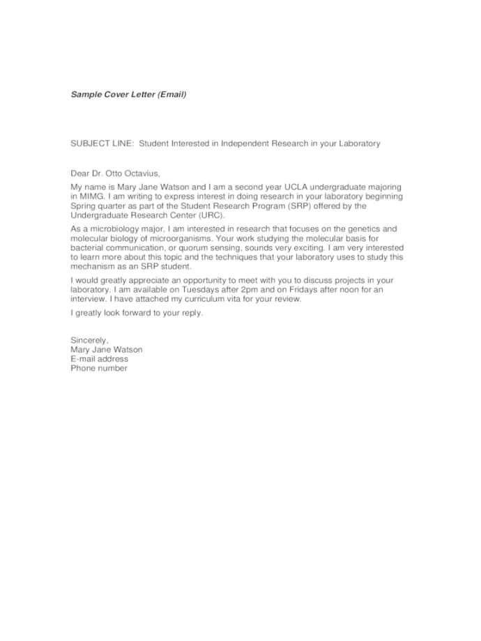 Email Cover Letter Examples 2 Free Templates in PDF, Word, Excel Download