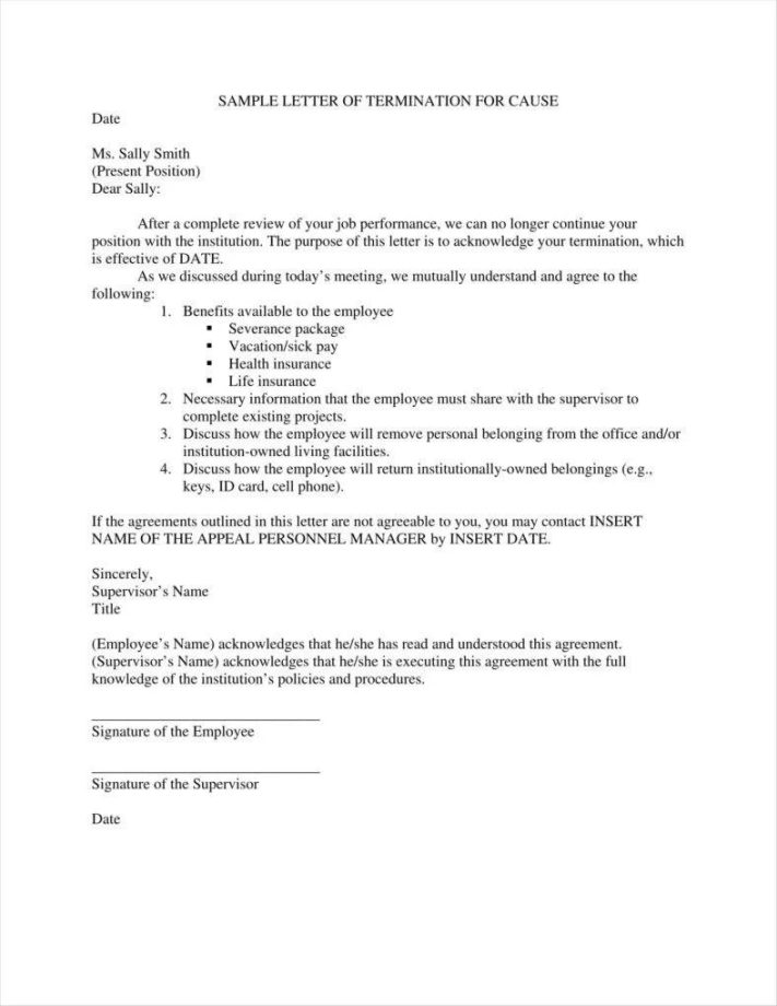14+ Company Termination Letters Free Samples, Examples, Formats Download