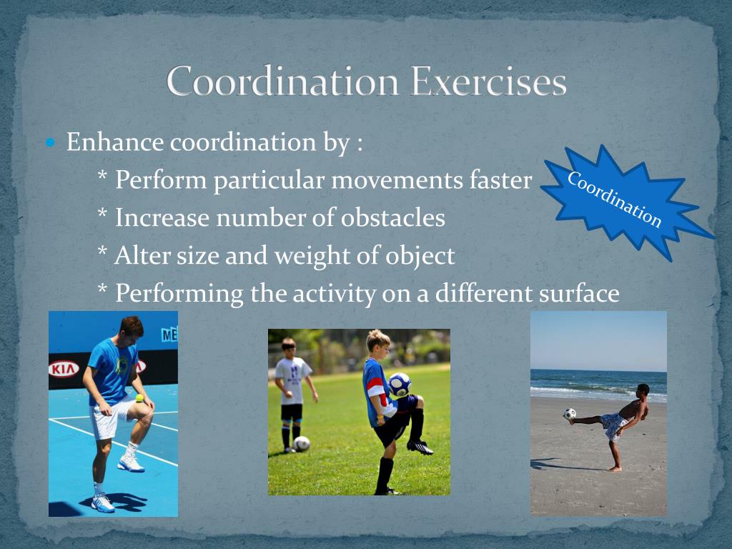 PPT Nine Components of Fitness PowerPoint Presentation, free download