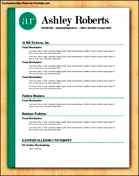 Stand Out Resume Templates Free Samples , Examples & Format Resume