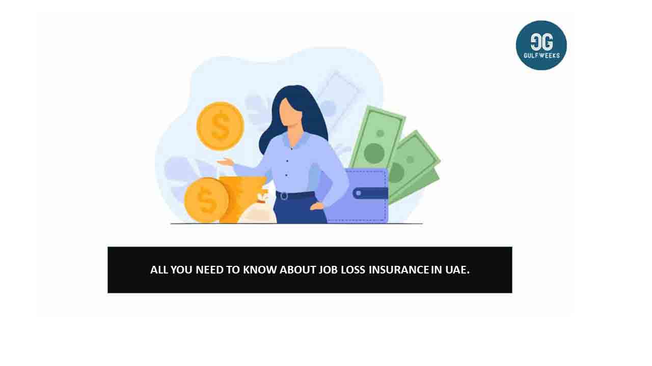 Key points to Know about job loss insurance in UAE Indeedjob.us