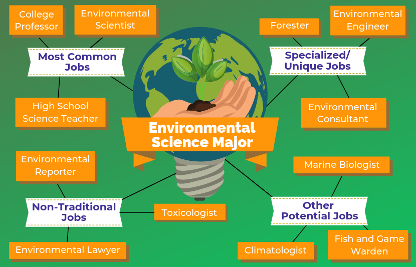 12 Jobs for Environmental Science Majors The University Network