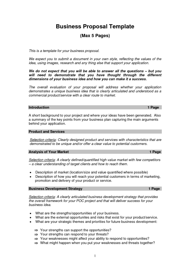 Business Proposal Templates Examples business proposal sample small