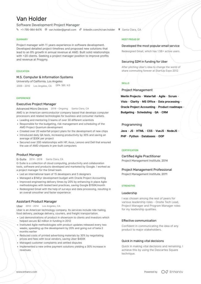 Project Management Resume Director Of Project Management Resume